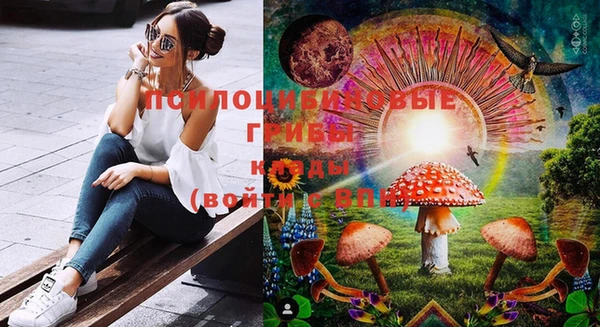 ГАЛЛЮЦИНОГЕННЫЕ ГРИБЫ Алзамай